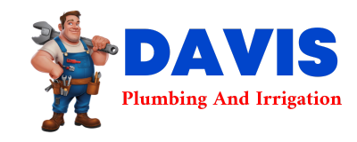 Trusted plumber in LANGSVILLE